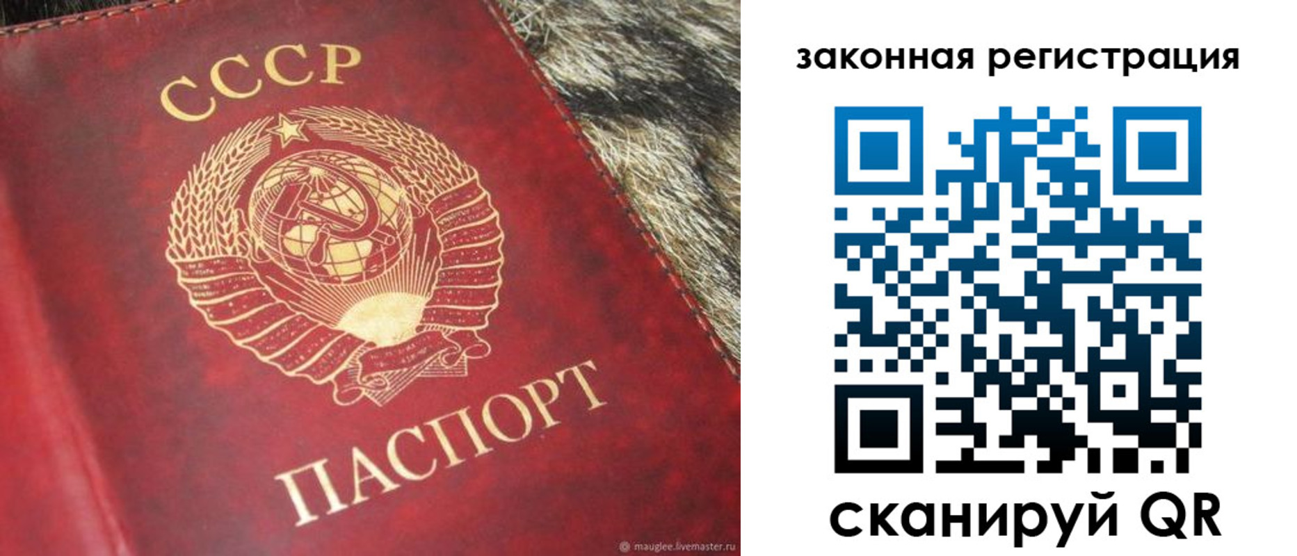 прописка от собственника в Зеленоградске
